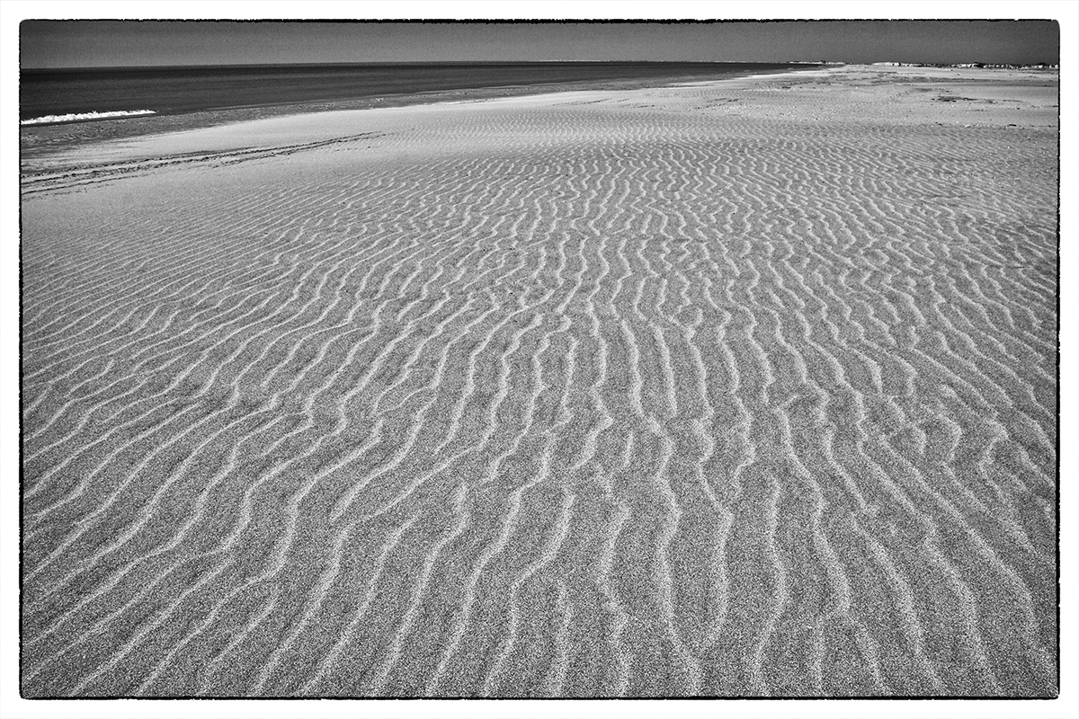 NP Camargue - kilometr široká přírodní pláž (BW)