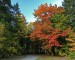 Podzim u Kamenného rybníka